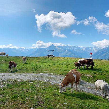 Schneekarhuette Hotel Mayrhofen Eksteriør billede