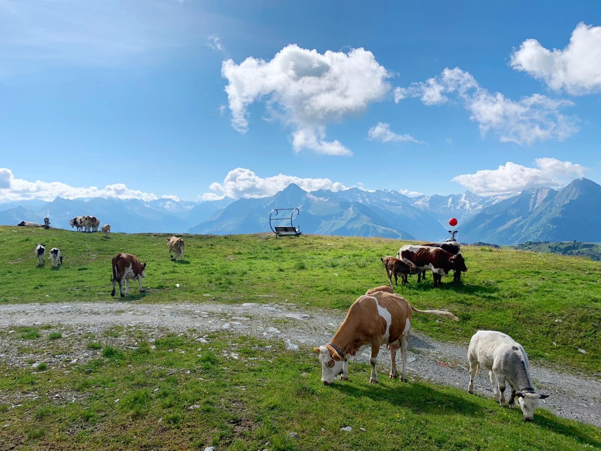 Schneekarhuette Hotel Mayrhofen Eksteriør billede