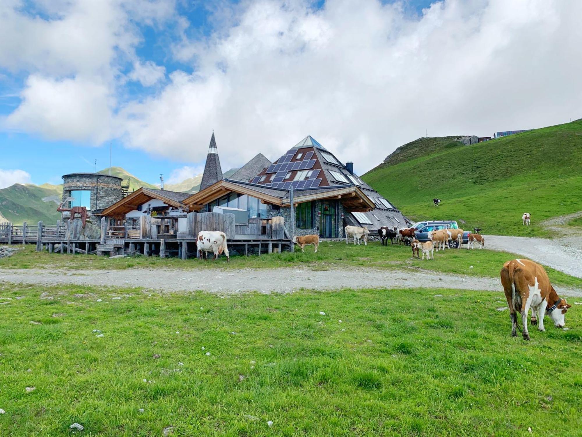 Schneekarhuette Hotel Mayrhofen Eksteriør billede