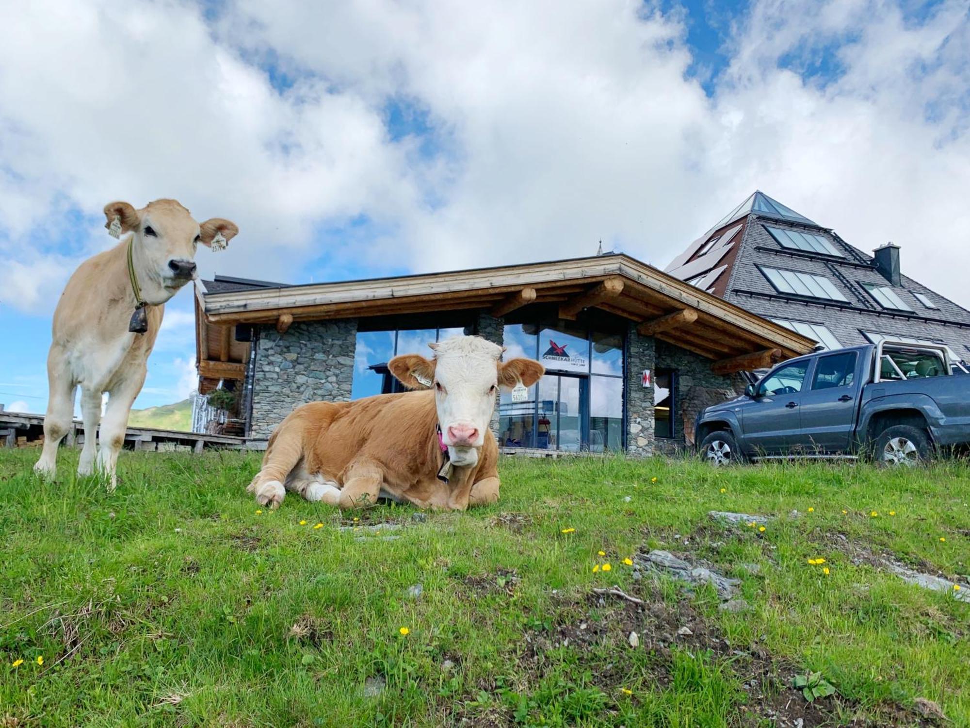 Schneekarhuette Hotel Mayrhofen Eksteriør billede